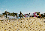 The skatepark under construction