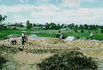 Skatepark under construction